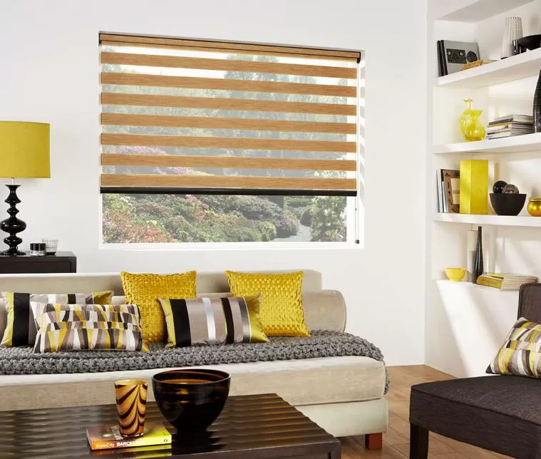 modern vision blinds gauteng blinds all types